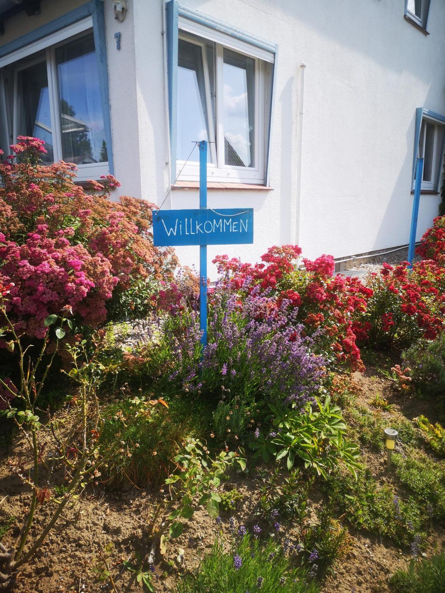Und Im Nixenweg Apartment Hohwacht